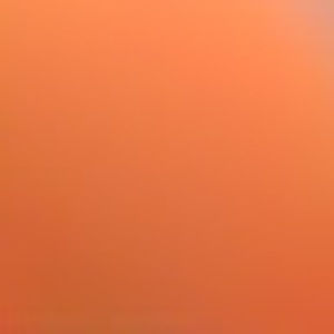 Meet your Posher, Nicholas